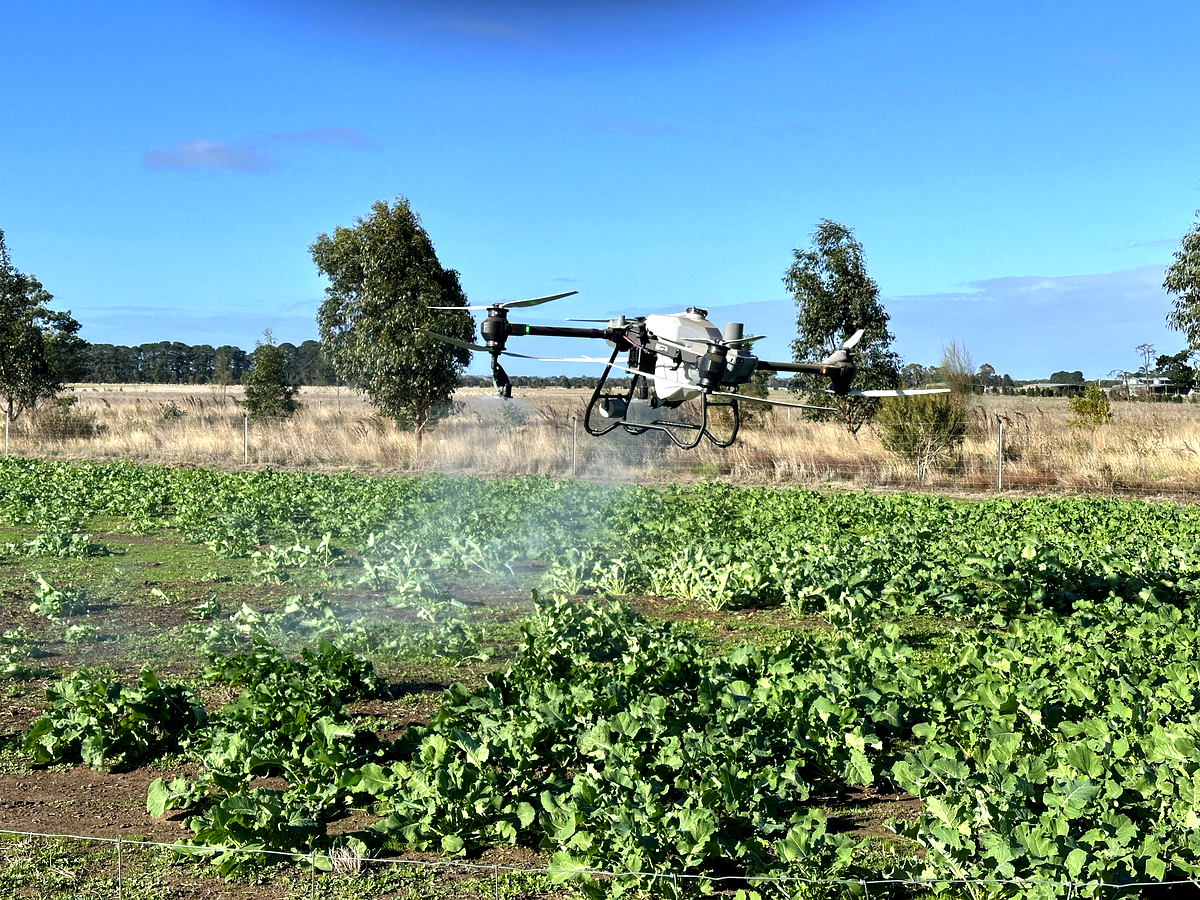 Field Wings DJI Agras T50 spraying pasture in Victoria