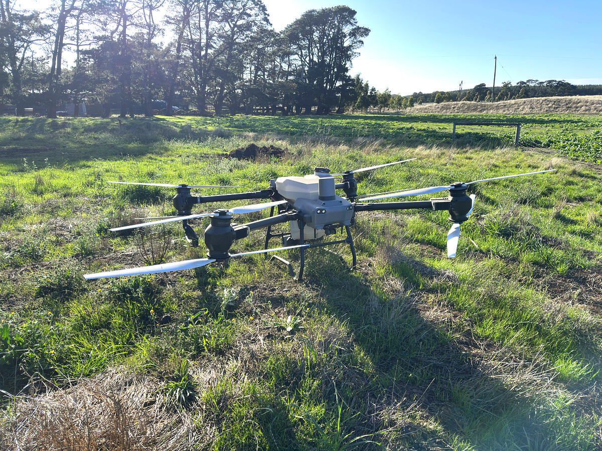 Drone spreading granular fertiliser over farmland